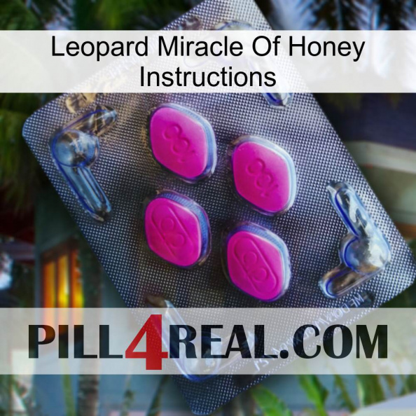 Leopard Miracle Of Honey Instructions 02.jpg